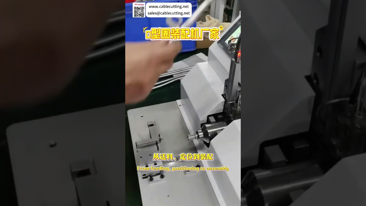全自动O型圈组装机 | 高效密封环定制设备供应商