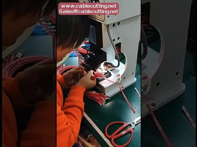 免费样品：蓝色预绝缘公型铲形端子，压接电线连接器