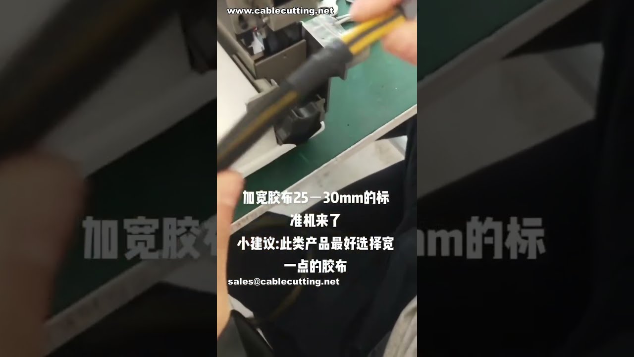 25-30mm胶带标准点胶机 | 尼龙网线专用 | 工厂自动化设备