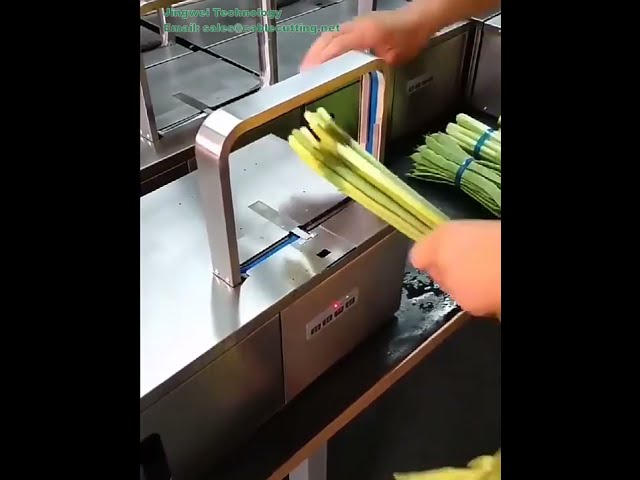 彩色OPP打包带 | 热封型捆扎材料 | 自动捆扎机专用蔬菜捆扎带