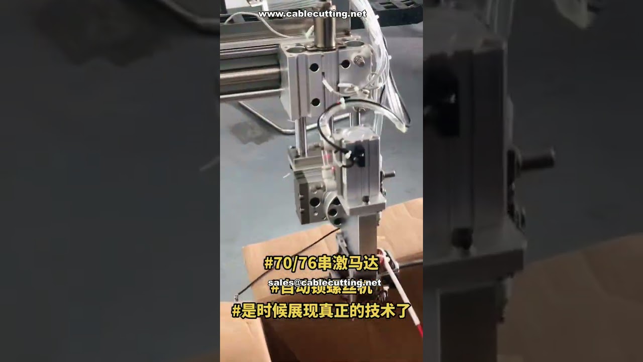 多轴旋转自动锁螺丝机 带机械臂取放系统 # 定制自动化设备