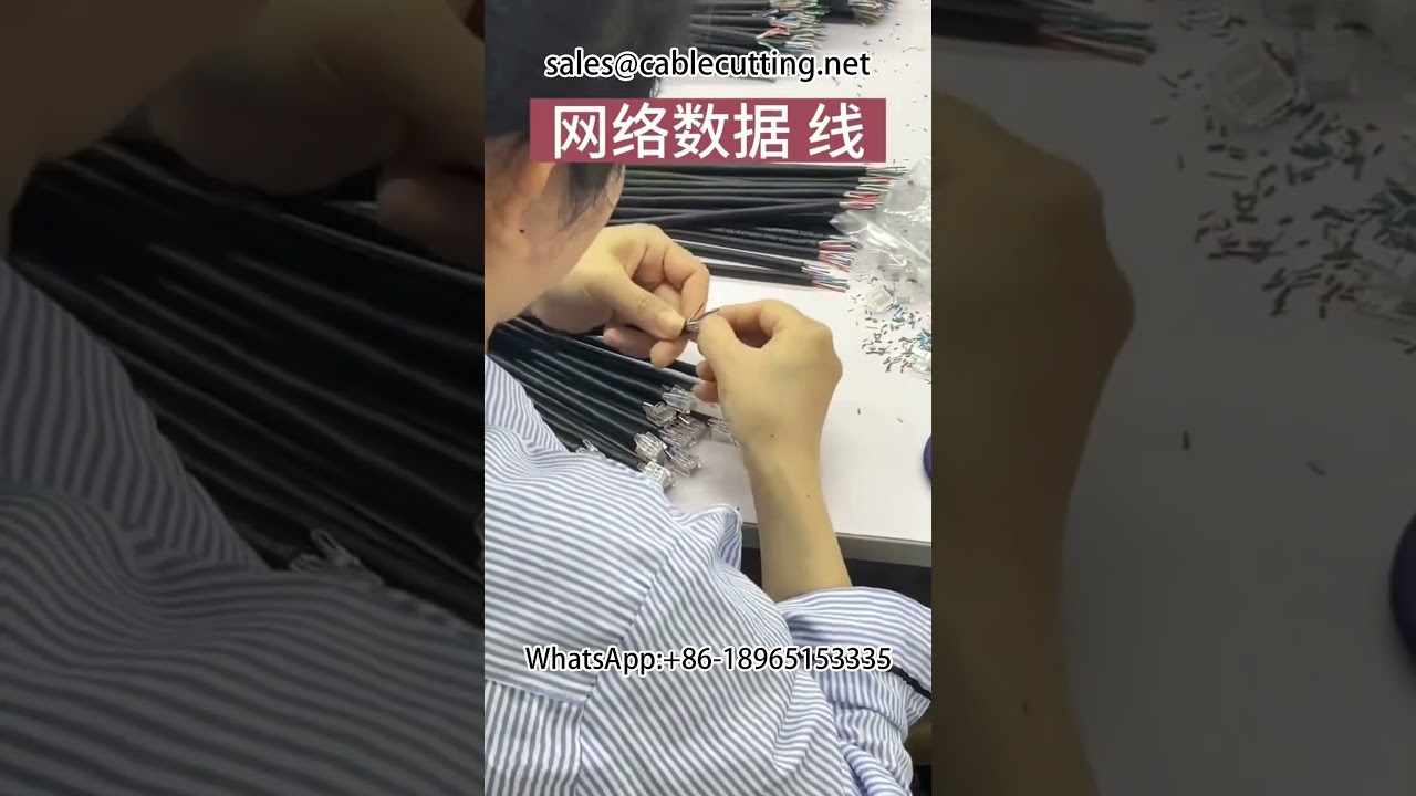 网线自动卷线机 | 高效工厂自动化设备