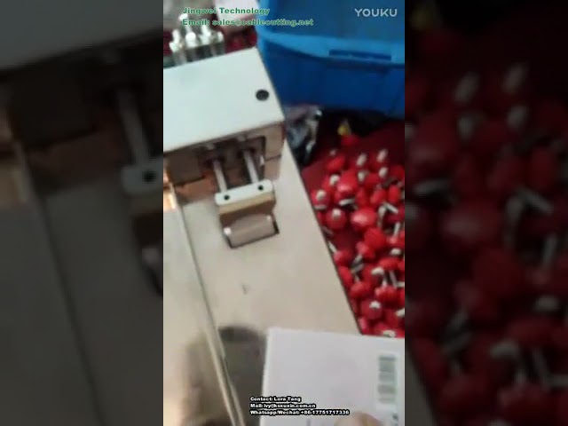半自动小盒直角侧封贴标机 | 小型纸箱包装自动化